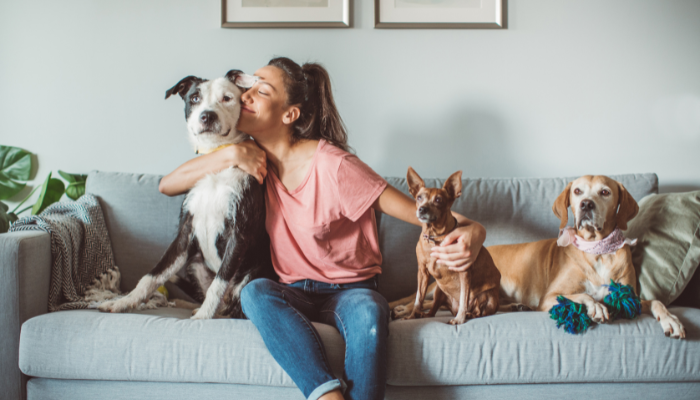 Animals & Pets