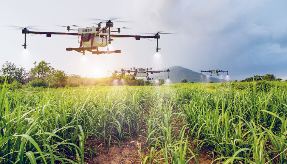 Agriculture & Forestry